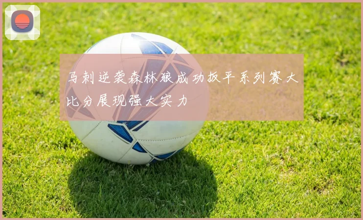 马刺逆袭森林狼成功扳平系列赛大比分展现强大实力